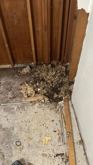Exposed wall framing and demolition debris beside the stripped bathroom floor.