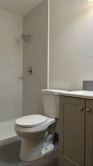 Chrome shower fittings beside a toilet and gray vanity with a white basin.